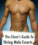 Hlo ladies your bull is back 