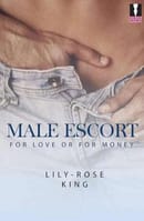 Male escort Job, hiring eligible person only . 