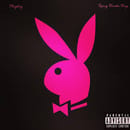 PLAY BOY SERVICE AND JOB'S 