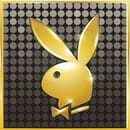 MALE ESCORT SERVICE AND JOB'S 