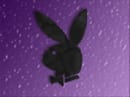 PLAY BOY SERVICE AND JOB'S 