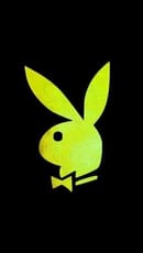 PLAY BOY SERVICE AND JOB'S 
