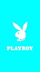 PLAY BOY SERVICE AND JOB'S 