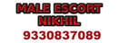 SOME PLEASURE FOR LADIES I DO AS YOU SAY I AM MALE ESCORT Nikhil