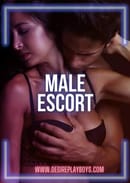 MALE ESCORT SERVICE AND JOB'S AVAILABLE 