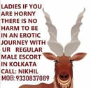 LADIES HORNY AND DESIROUS BE SERIOUS I AM MALE ESCORT CALL BOY 4U call Nikhil