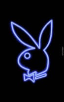 PLAY BOY SERVICE AND JOB'S AVAILABLE 